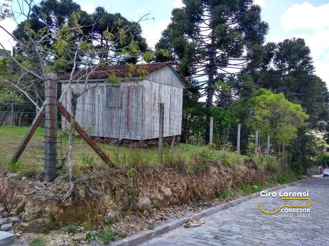 Área para Venda em Caxias do Sul - 4