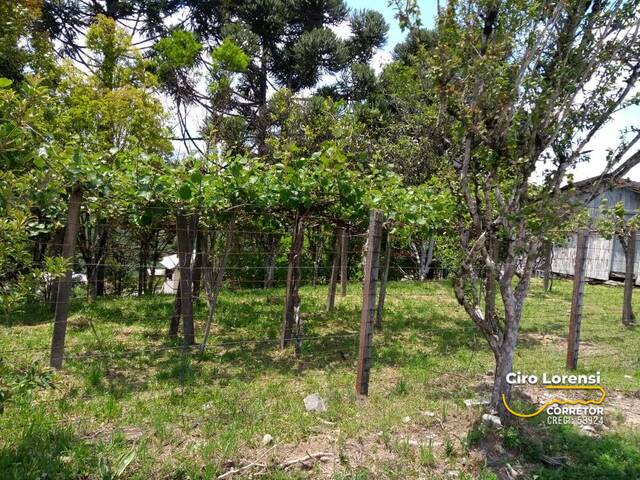 #4 - Área para Venda em Caxias do Sul - RS - 3