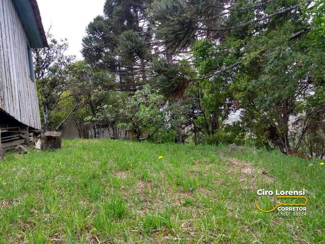 Área para Venda em Caxias do Sul - 5
