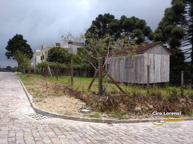 #4 - Área para Venda em Caxias do Sul - RS - 1